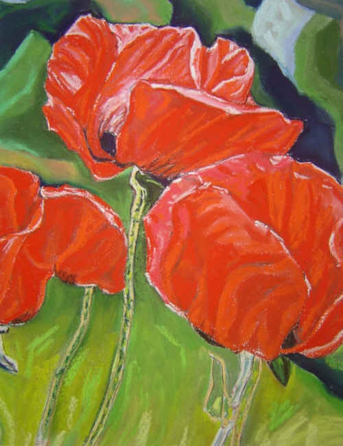 pastel-coquelicots